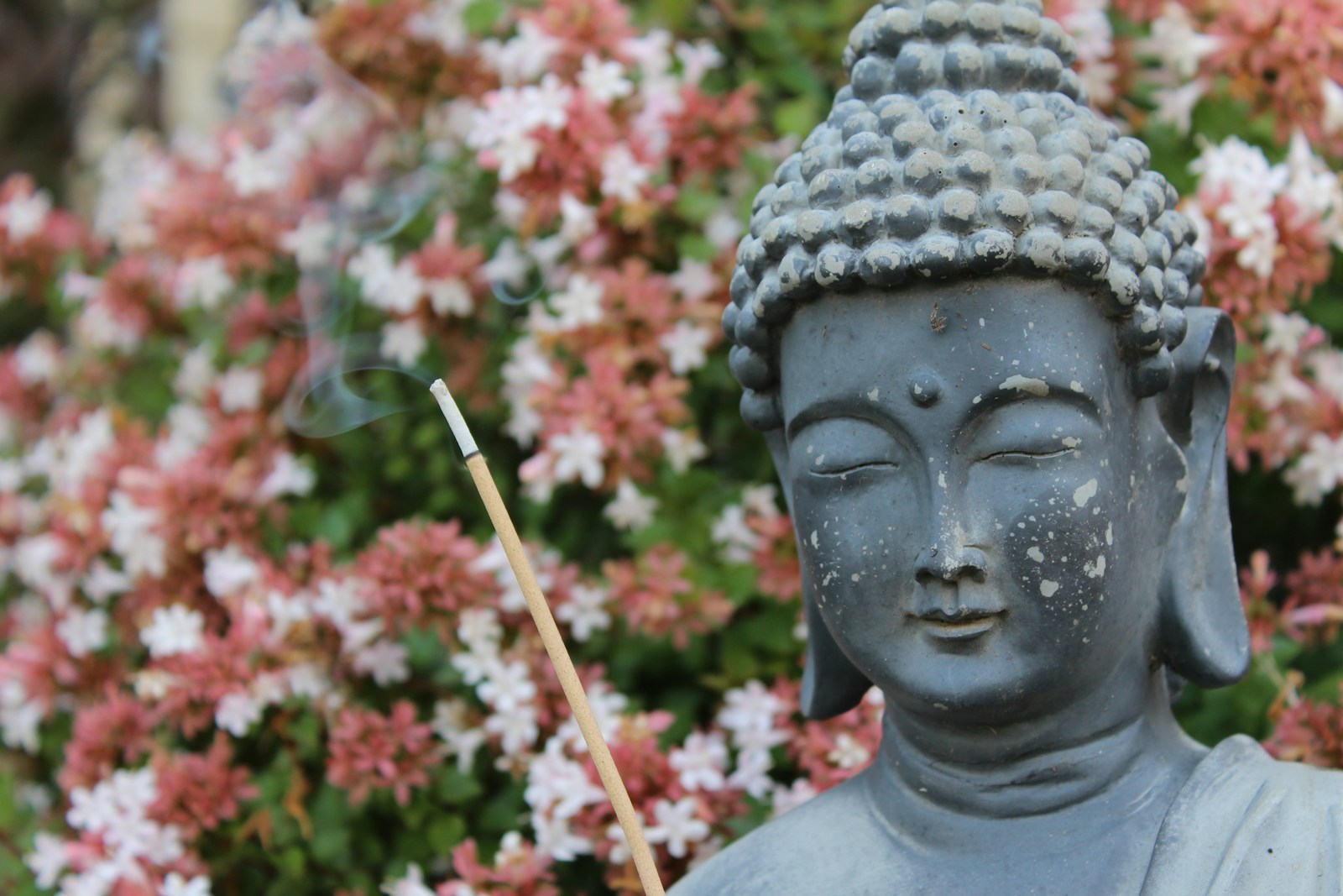 gray concrete buddha statue during daytime